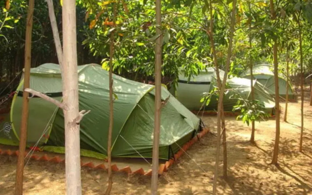 Dandeli Camps