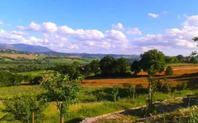 L'Oro di Cicognola