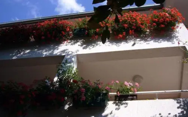 Apartments Villa Martinuzzi