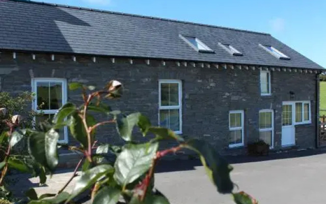 Brynheulwen