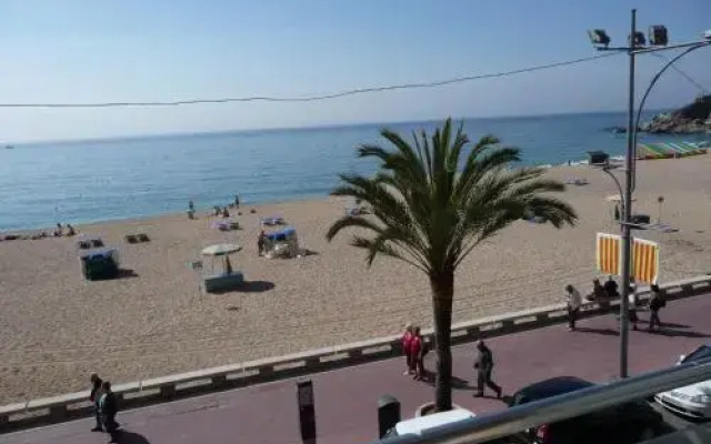 Sant Jordi Plaza España