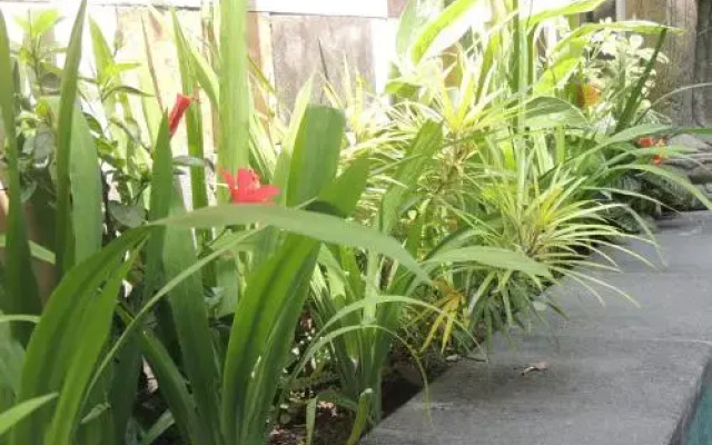 Natha Ubud Villa