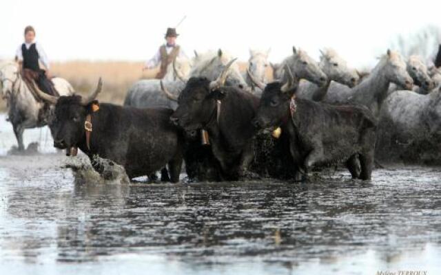 Mas Du Pont De Laute