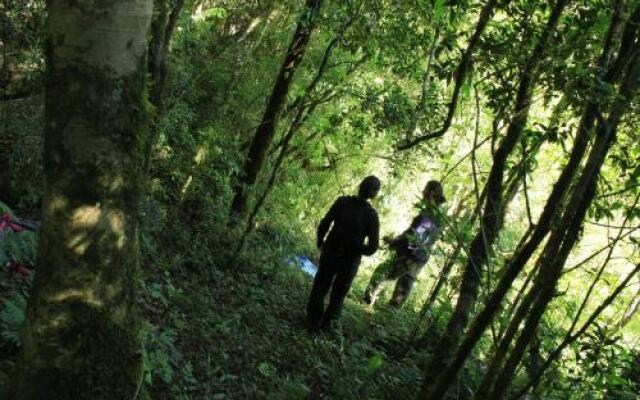 La Perla de la Selva Lodge