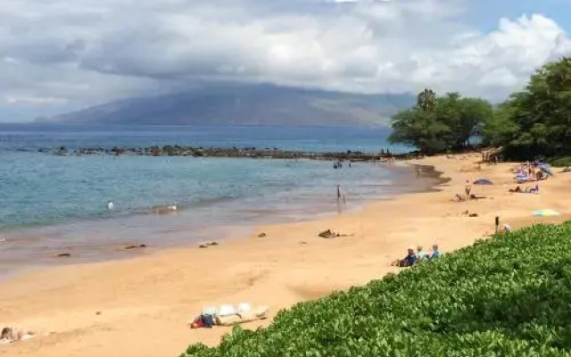 Wailea Elua #2303