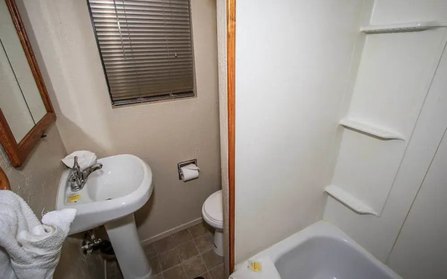 Beary Fun Escape 1445P by RedAwning