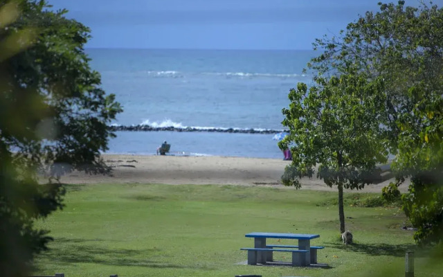 Kihei Bay Surf #144 - Studio Br Condo