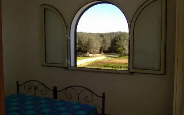 Azienda Agrituristica B&B La Torre