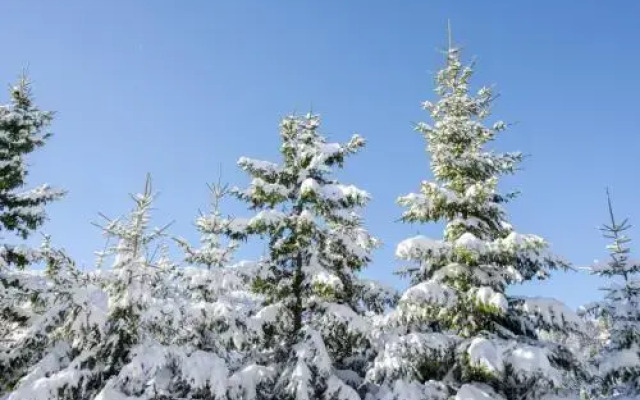 Rajska Jahorina