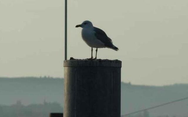 Gästehaus Mäder Am Hafen