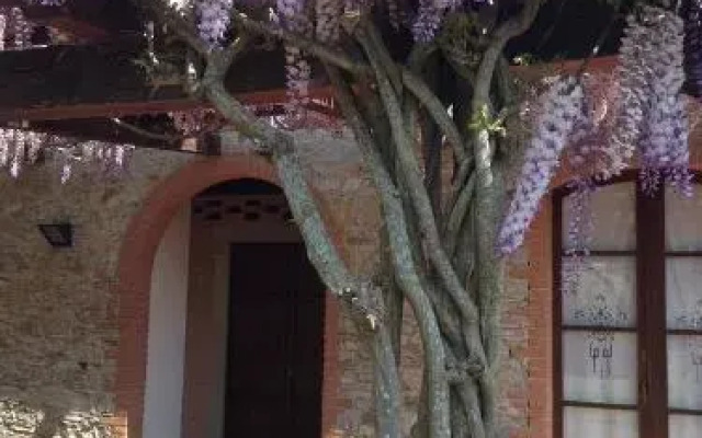Fattoria Cirene