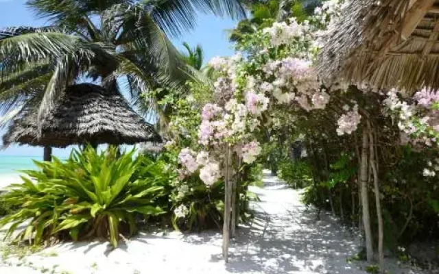 Paradise Beach Bungalows