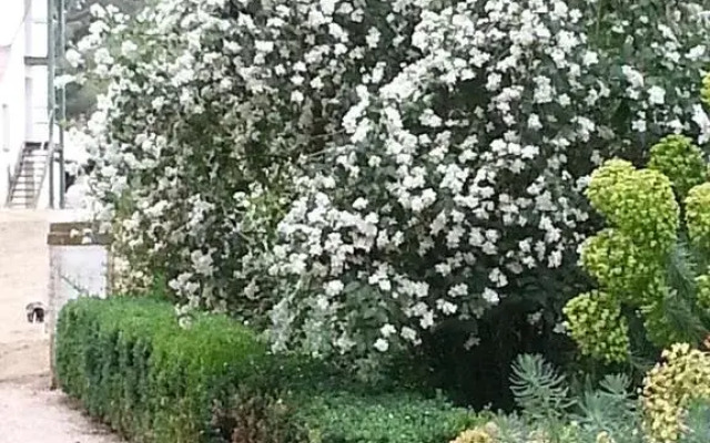 Jolly Painter Bed and Breakfast