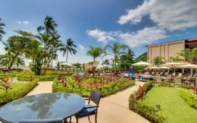 The Palms 504