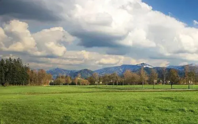 Landgasthof Hotel Falken