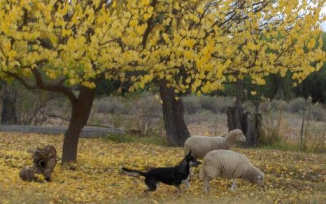 cabaña alojamiento Canto de las Aves