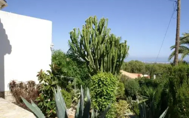 Marquesa ZI