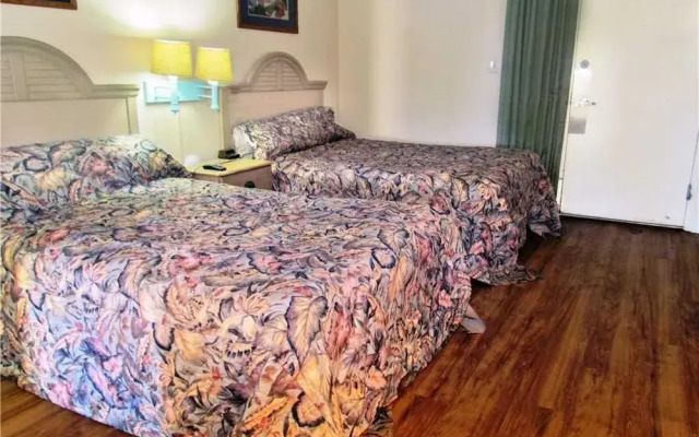 Ocean Dunes 6011