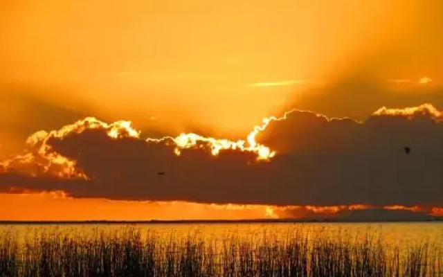Lake Albert Caravan Park