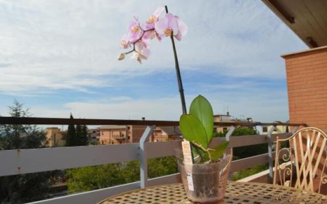 Bed Breakfast Orchidea di Ale