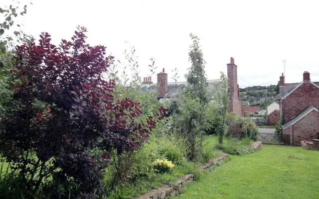 Elmfield