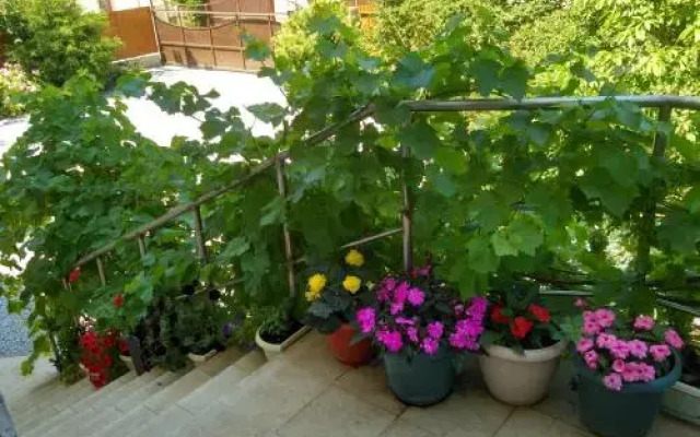 Raiskii Ostrovok Guest House