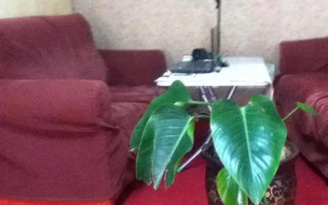 Zhengzhou Mi Xi Xi Bi Hostel