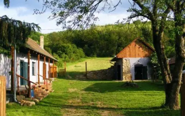 Bakancstanya