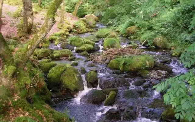 Dolgoch Falls