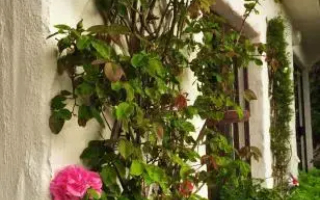 The Ardagh Guest Lodge