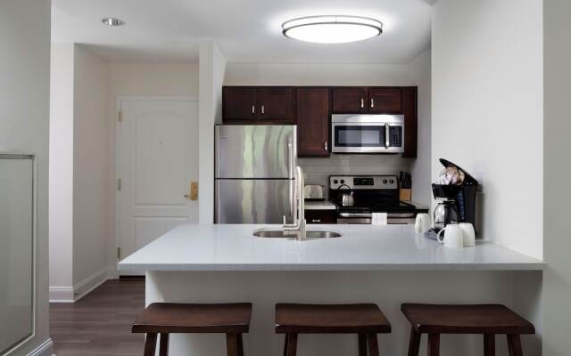 Stay Alfred at The Broderick