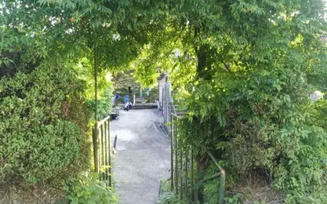 Campsis Garden Guesthouse