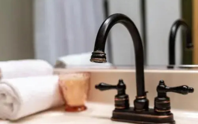 Stay Alfred at Bridgeview