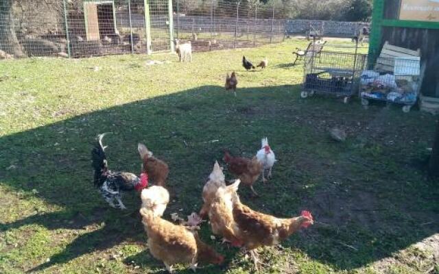 Agriturismo Agrimilo