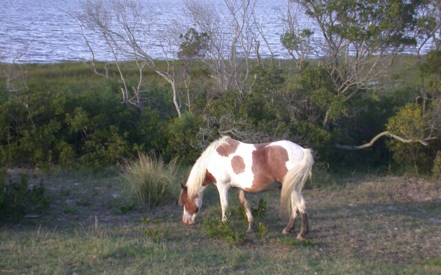 Seatime 303S 1 Bedroom Condo by RedAwning