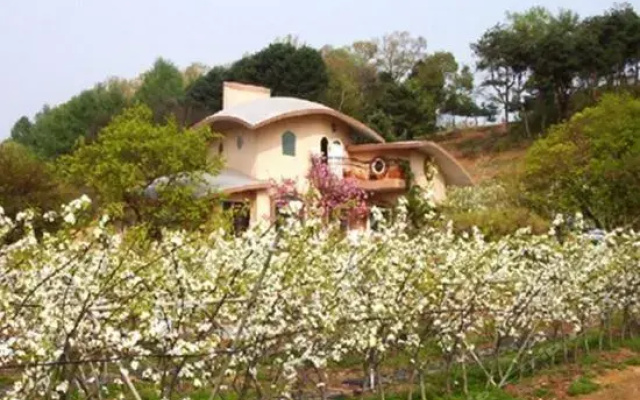 Greentopia pension