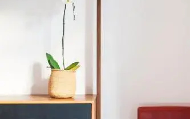 Waterkant Design Cottage