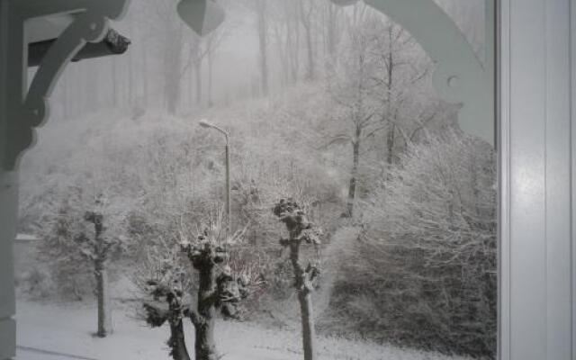 Baltische Residenzen Villa Ahlbeck