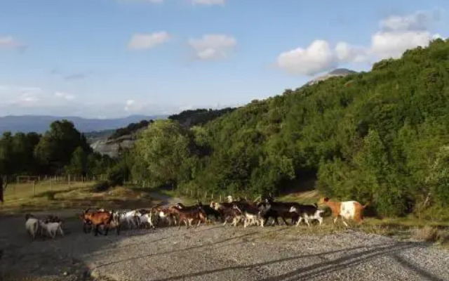 Agriturismo Aria Fina