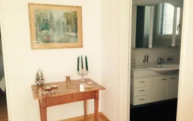 AVLiving City Flat Basel with Roof Garden