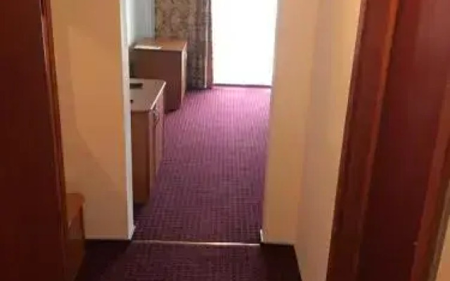Pensiunea Tempo Sovata
