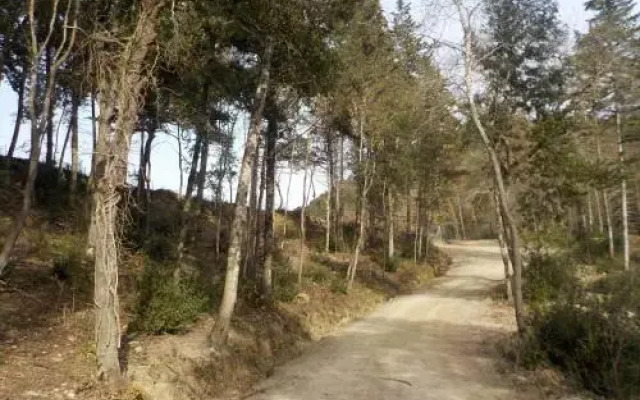 Agriturismo Ormanni Podere La Querce E Montignano