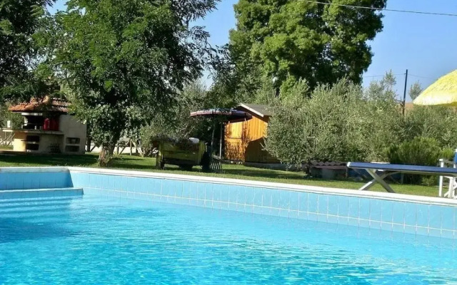 Il Girasole Terzuolo