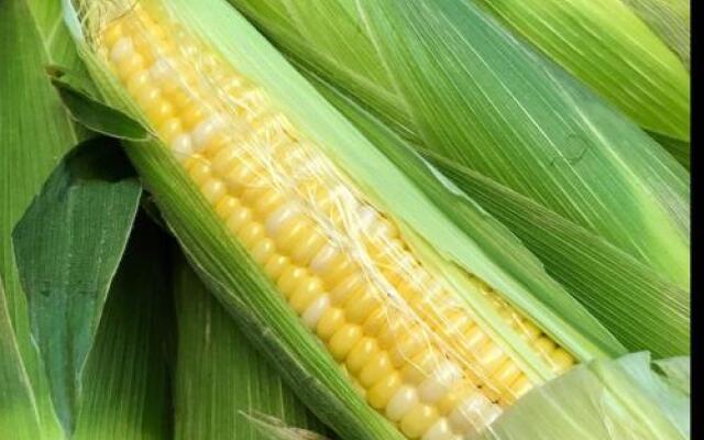 Tentrr â Hill Top Camp