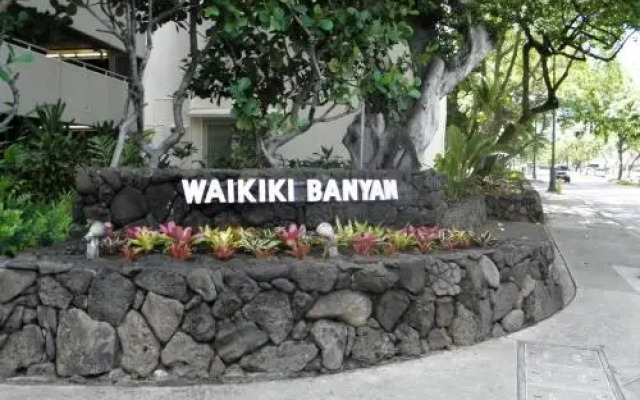 Waikiki Banyan