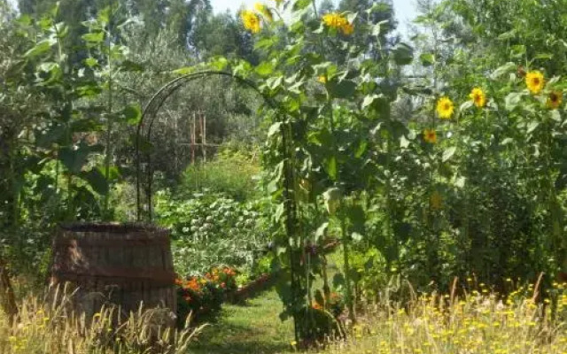 Casa Aloes Quinta das Mil Flores
