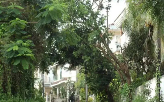 CasaMelhor-Dona Paula
