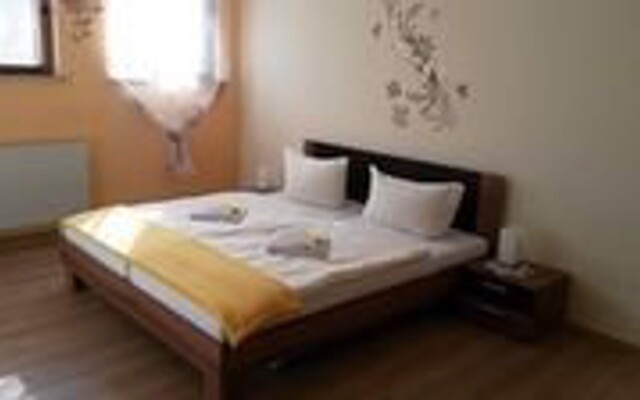 Pension 'Hollandheim ' Waschleithe