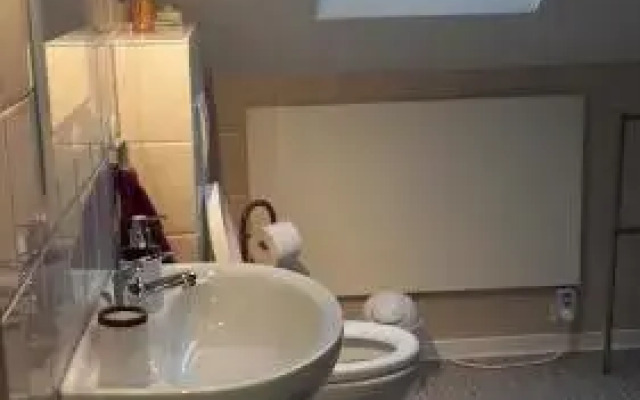 Ferienwohnung Bad Rothenfelde Am Birkenkamp