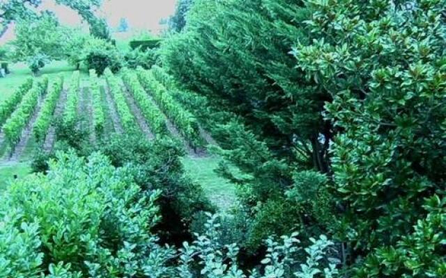 Les ID de Saint Emilion